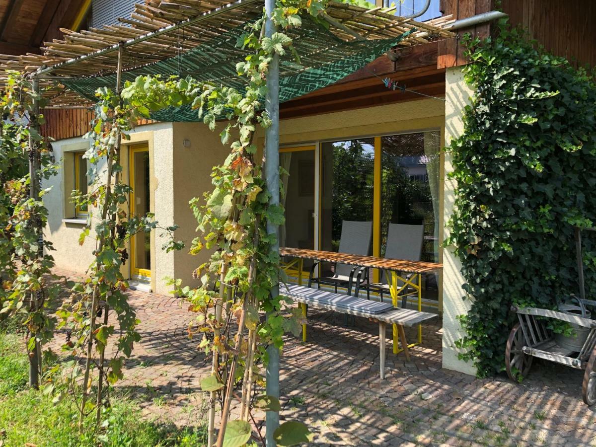 Gut Muellerleile Apartment Gengenbach Bagian luar foto